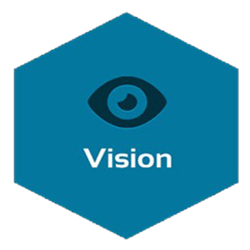 Vision Statement